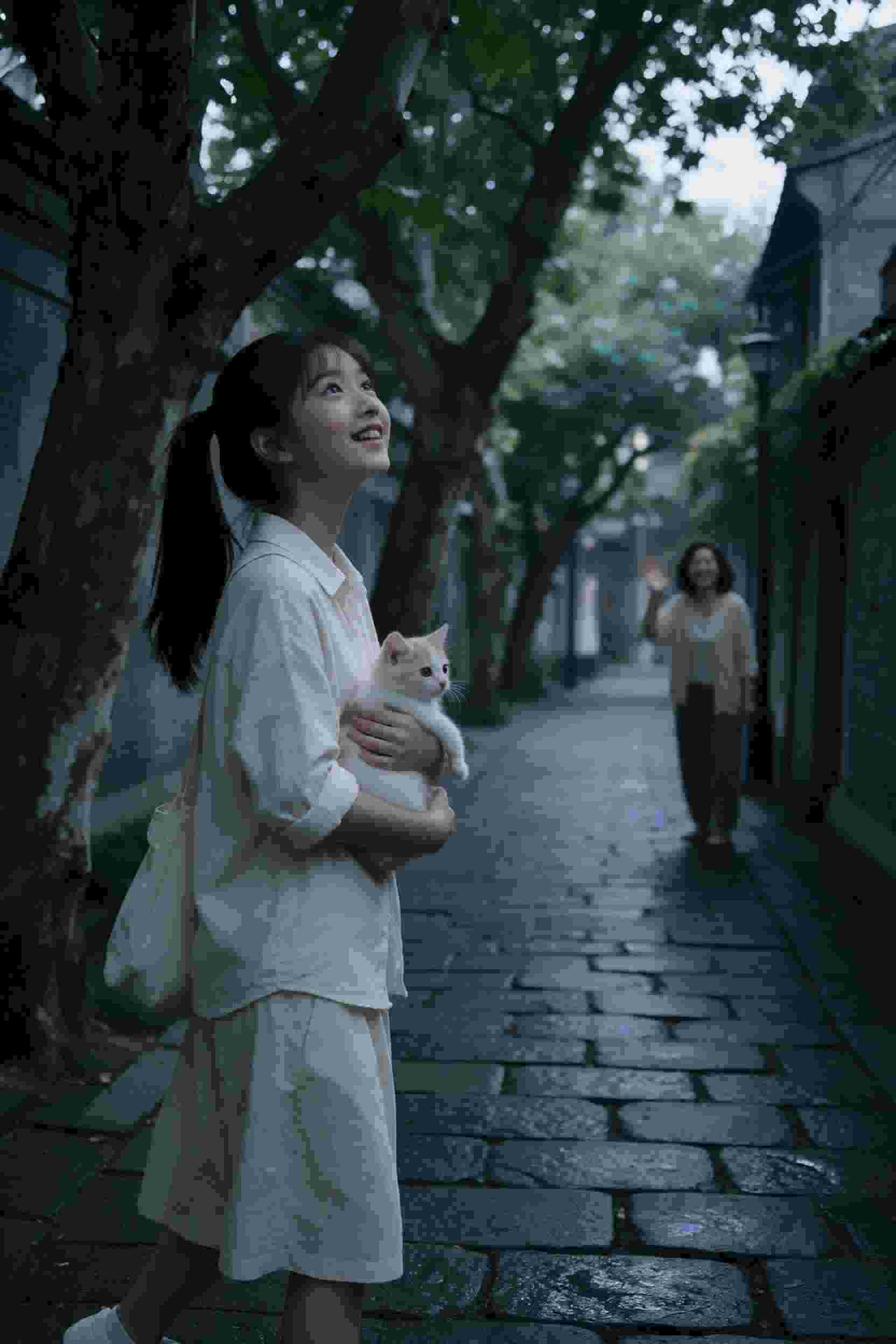 恋爱循环
